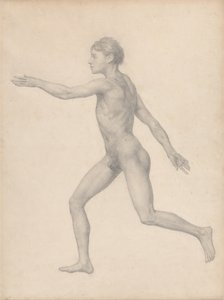 En sammenlignende anatomisk fremstilling af menneskekroppens struktur med en tiger og en almindelig høne: Menneskefigur, set fra siden, ubeskåret (færdigt studie til tabel VIII) af George Stubbs