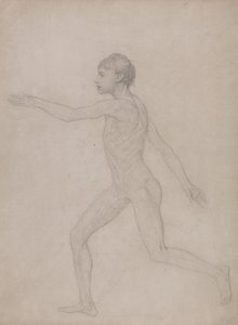En sammenlignende anatomisk fremstilling af menneskekroppens struktur med tigerens og den almindelige hønsefugls: Menneskefigur, set fra siden (Foreløbigt udkast til det endelige studie til Tabel VIII) af George Stubbs