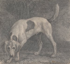 En rævehund på duften af George Stubbs