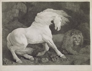 A Horse Frighted by a Lion, indgraveret af kunstneren, pub. 1788 af George Stubbs