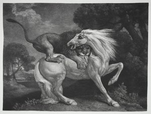En hest angrebet af en løve, 1788. af George Stubbs