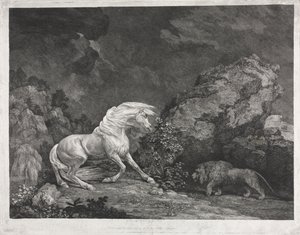 En hest, der er skræmt af en løve af George Stubbs