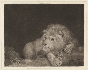 En løve [En liggende løve] af George Stubbs