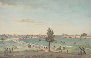 Kennington Common af George Stubbs