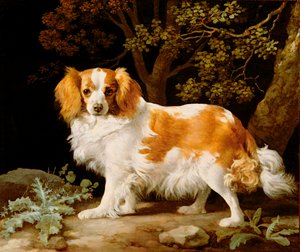 En lever og hvid King Charles Spaniel i et skovklædt landskab af George Stubbs