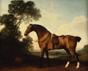 En sadlet bugtjæger af George Stubbs