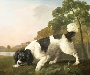 En spaniel i et landskab, 1771