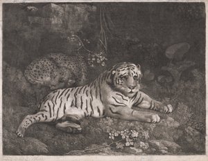 En tiger og en sovende leopard af George Stubbs