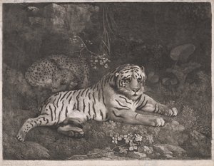 En tiger og en sovende leopard af George Stubbs