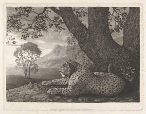 En tiger (en hvilende leopard ved et træ) af George Stubbs