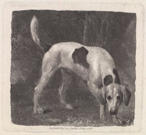 Hund (A Foxhound on the Scent) indgraveret af kunstneren, pub. 1788 af George Stubbs