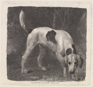 Hund [En rævehund på duften] af George Stubbs
