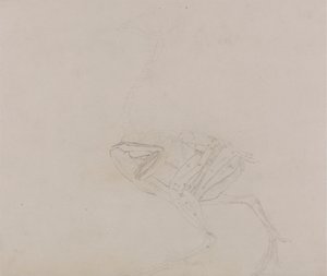 Dorking Hen Body, Lateral View (Undersøgelse af kroppens muskler og lemmer på et senere tidspunkt af dissektion) af George Stubbs