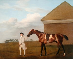 Firetail med sin træner ved Rubbing-Down House på Newmarket Heath af George Stubbs