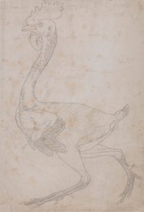 Hønsekrop, sideværts (sandsynligvis forberedt til overførsel til pladen for indgravering af nøglefiguren til tabel X) af George Stubbs