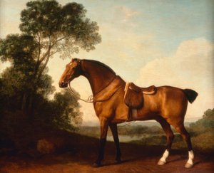 G. Stubbs, en sadlet bugtjæger af George Stubbs