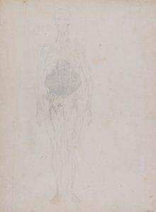 Menneskelig figur, set forfra (stort set i omrids) af George Stubbs
