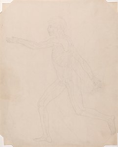 Menneskeskikkelse, sidebillede af George Stubbs