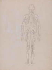 Menneskelig figur, posterior visning (konturtegning for nøglefiguren af en upubliceret plade) af George Stubbs