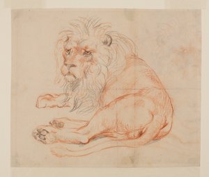 Løve hvilende, recto, 18. eller 19. århundrede af George Stubbs