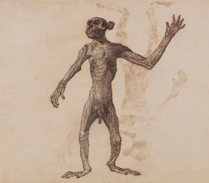 Abe stående, set forfra af George Stubbs