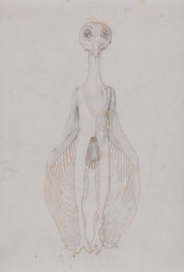 Ugle stående, forfra af George Stubbs