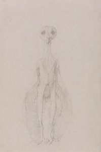 Ugle stående, forfra af George Stubbs