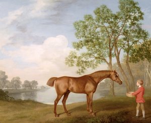 Græskar med en staldunge af George Stubbs