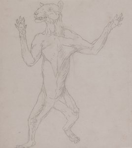 Studie af en tiger, der står i menneskelig stilling, fra en sammenlignende anatomisk fremstilling af den menneskelige krops struktur med en tiger og en almindelig høns, 1795-1806 (grafit på tyndt vævet papir) af George Stubbs