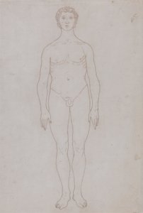 Studie af den menneskelige figur, forfra (konturtegning til tabel VI) af George Stubbs