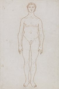 Studie af den menneskelige figur, forfra, fra 