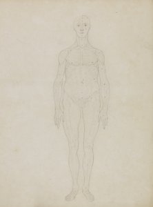 Studie af den menneskelige figur, Anterior View, fra 