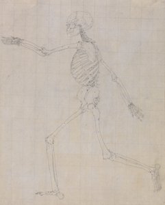 Undersøgelse af den menneskelige figur, sideværts, afsluttet undersøgelse til tabel III, fra en sammenlignende anatomisk fremstilling af den menneskelige krops struktur med en tiger og en almindelig høns, 1795-1806 (gr. af George Stubbs