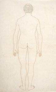 Studie af den menneskelige figur, bagfra, fra en sammenlignende anatomisk fremstilling af den menneskelige krops struktur med en tiger og en almindelig høns, ca. 1795-1806 (blæk på papir) af George Stubbs