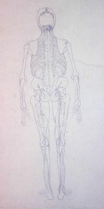 Studie af den menneskelige figur, bagfra, fra en sammenlignende anatomisk fremstilling af den menneskelige krops struktur med en tiger og en almindelig høns, ca. 1795-1806 (grafit på papir) af George Stubbs