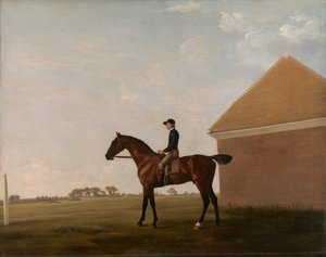 Turf, med Jockey oppe, på Newmarket af George Stubbs