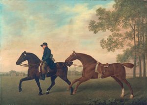 To hacks, 1789 af George Stubbs