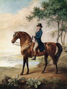 Warren Hastings Esq. på sin arabiske hest, efter et maleri af George Stubbs