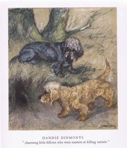 Dandie Dimonts (farvelitografi)