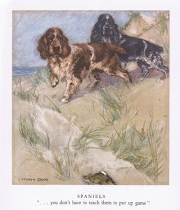 Spaniels (farvelitografi)