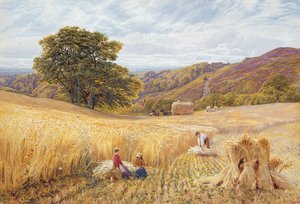 Høsttid nær Holmbury Hill, Surrey, 1865 (wc & kropsfarve på papir)