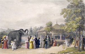 Elefanthuset ved Zoologisk Have, Regent