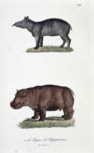 Naturhistorisk bestyrelse: Zoologisk bestyrelse, der repræsenterer 1. Tapiren og 2. L