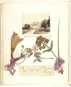 Uden titel [udsigt over Broadlands med tørrede blomster], 1868.