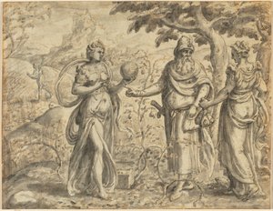 Frøet modtaget blandt tornene, fra lignelsen om såmanden, ca. 1573.