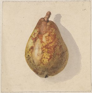 Peer
