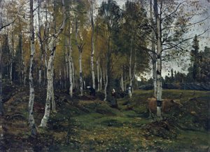 Birkeskov om efteråret