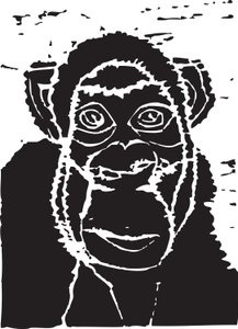 Chimpanse af Gerhardt Isringhaus