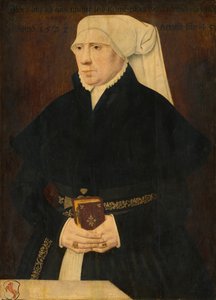 Portræt af en Dame af German 16th Century