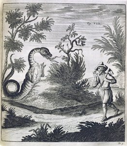 En frygtsom drage, ca. 1660 af German School